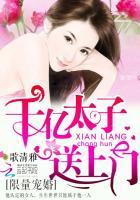 限量级婚宠全文免费阅读