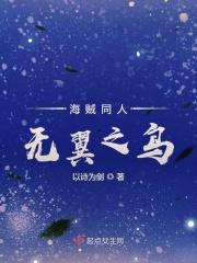 海贼之无限翅膀女主