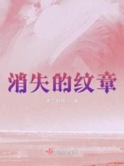 天启消失纹章