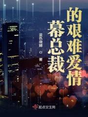总裁的艰难爱情txt