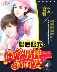 婚后试爱高冷总裁宠鲜妻百度阅读