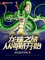 龙珠之海贼系统