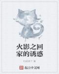 火影忍者之一