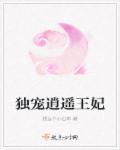 独宠王妃超难追