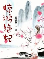 惊鸿简介