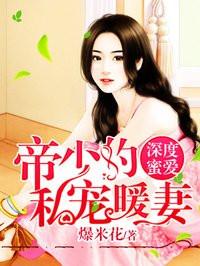 帝少私宠暖妻全文