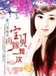 豪门退婚妻宝贝再嫁我一次免费阅读好看吗