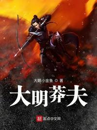 大明莽夫的结局