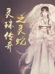 灵珠传奇之无间道