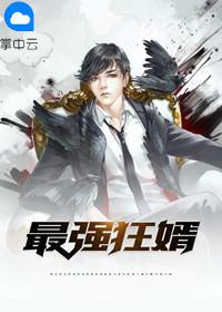 最强狂婿百科