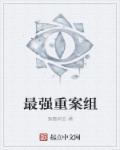 重案组警官