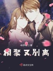 相聚又别离是什么歌