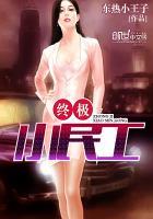 终极小民工TXT免费