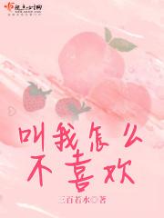 叫我怎么不爱他歌词