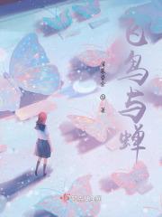 飞鸟与蝉 歌词
