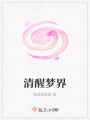 清醒梦梦境完全使用手册