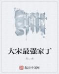 大宋之最强纨