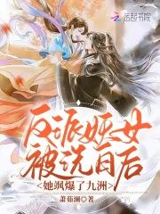她飒爆了九洲 萧茹澜