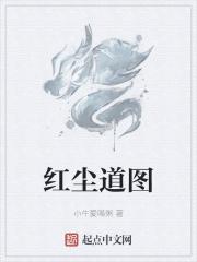 红尘道讲的什么