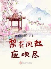梨花风起全部