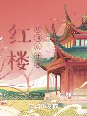 穿越从红楼开始起点