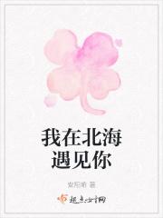 再见北海句子