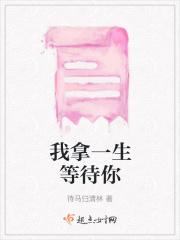 我用一生来等待那一个人是什么歌