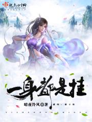 一身都是挂安夜泠风