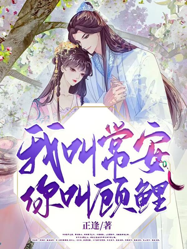 我叫长安你叫故里什么电视剧