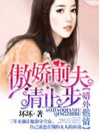 傲娇前夫请止步完整版