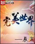 完美世界全文免费阅读