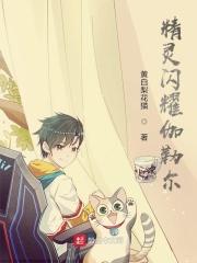 伽勒尔地区所有精灵