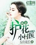 极品护花小农民