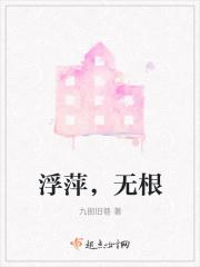 浮萍无根