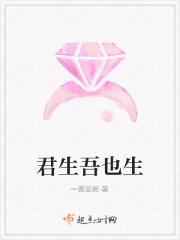 君生吾亦老是什么意思