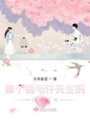 许小姐与宋先生完整