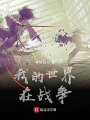 我的世界战争视频动画