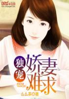 独宠娇妻重生全文阅读