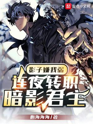 影子将军百度百科