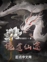 诡道仙途 电脑配件