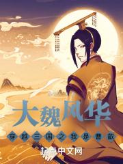 穿越三国成为曹睿