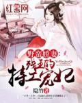 野蛮娇妻残王的特工宠妃txt