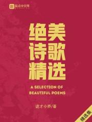 精美的诗歌
