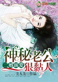 二婚宠妻太深