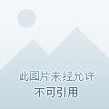 错爱1第1集