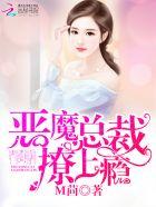 恶魔总裁撩上妻