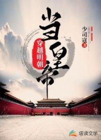 朱由检皇后画像