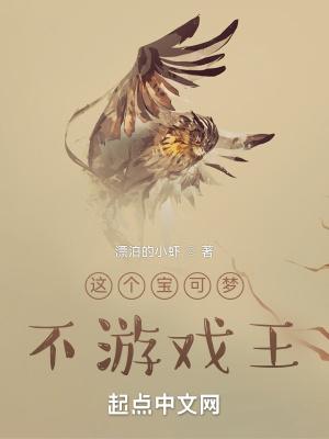 游戏王vs宝可梦