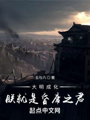 大明成化朕就是昏庸之君无错版