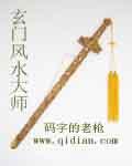 玄空风水大师